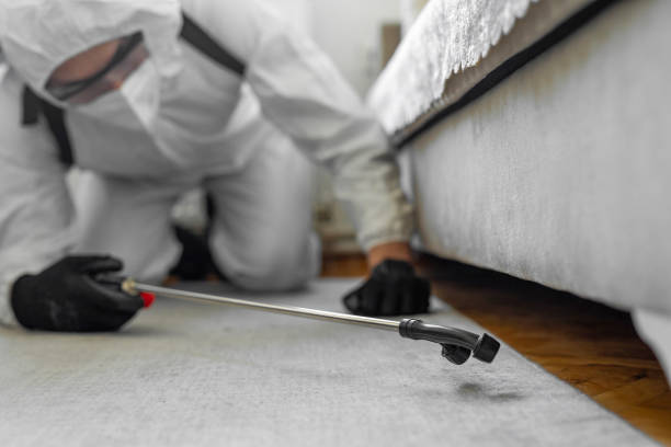 Professional Termite Control technician working in Santa Rita Ranch, TX