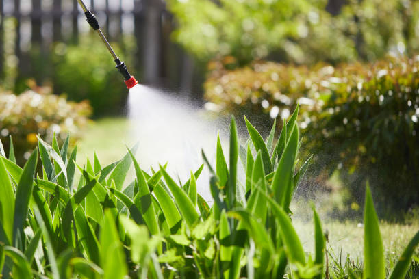 24/7 Emergency Termite Control experts in Santa Rita Ranch, TX