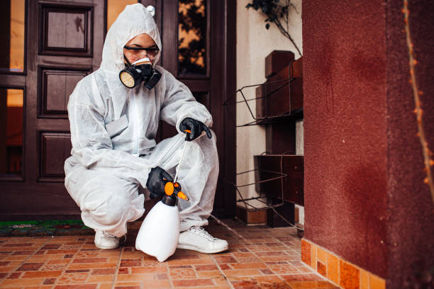 Reliable Termite Control contractor in Santa Rita Ranch, TX by Nex Pest Control