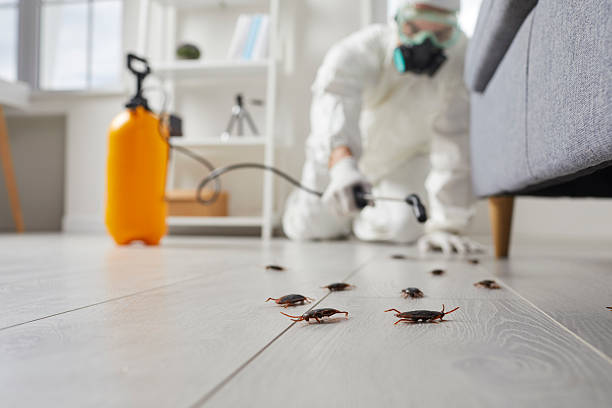 Trusted Termite Control service in Santa Rita Ranch, TX - Nex Pest Control